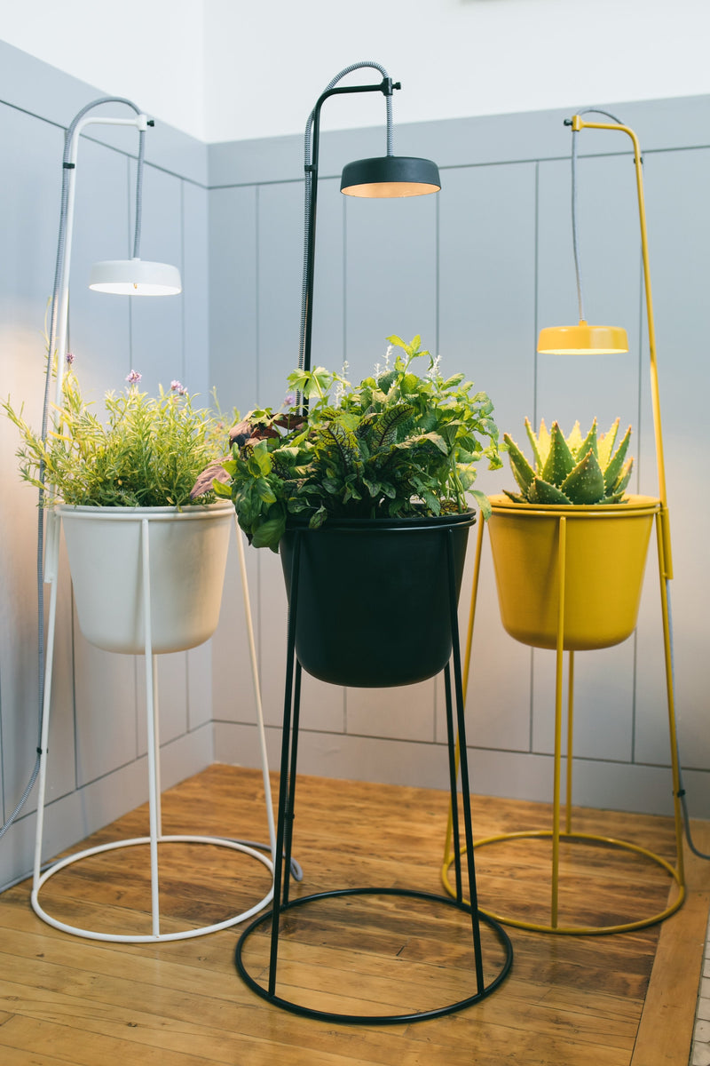 Modern Sprout Uplift Planter