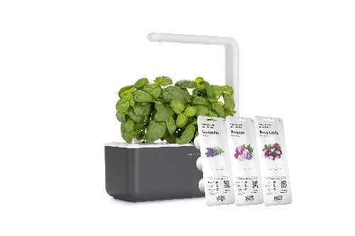 Click & Grow The Salad Lovers Kit