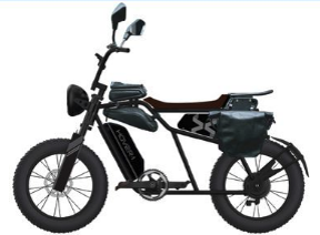 Hover-1 Altai Pro R750 Electric Bike