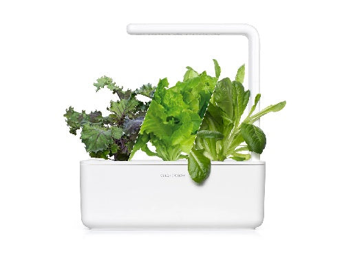 Click & Grow The Salad Lovers Kit