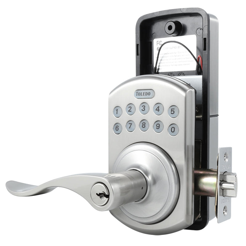 Toledo Electronic Lever / Jaen / V190E-JA