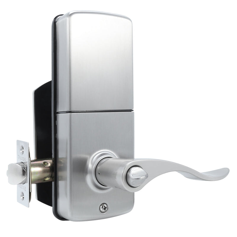 Toledo Electronic Lever / Jaen / V190E-JA