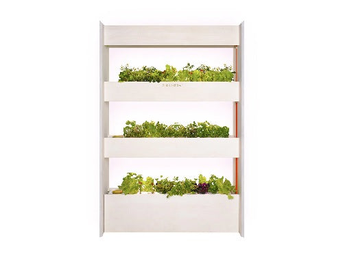 Click & Grow Wall Farm Smart Garden