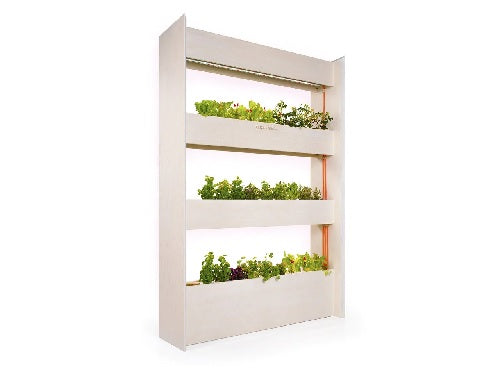 Click & Grow Wall Farm Smart Garden