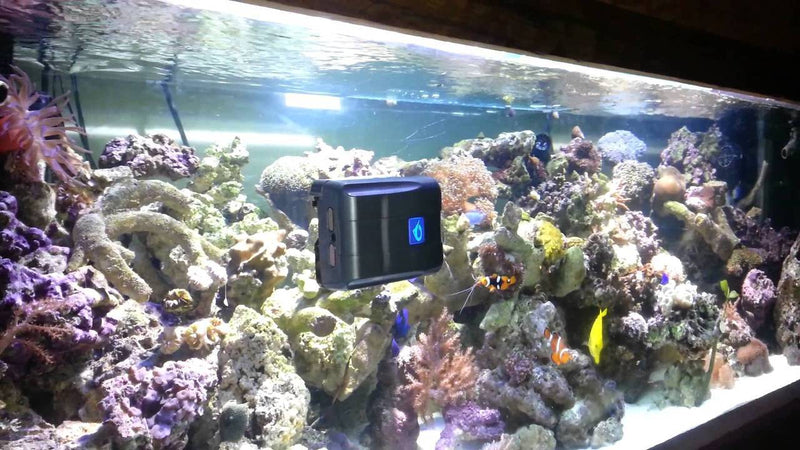 AquaGenesis RoboSnail Automatic Aquarium Glass Cleaner Wellbots