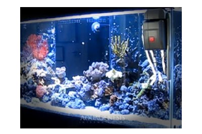AquaGenesis Robosnail Automatic Aquarium Glass Cleaner Cleaning Robots AquaGenesis