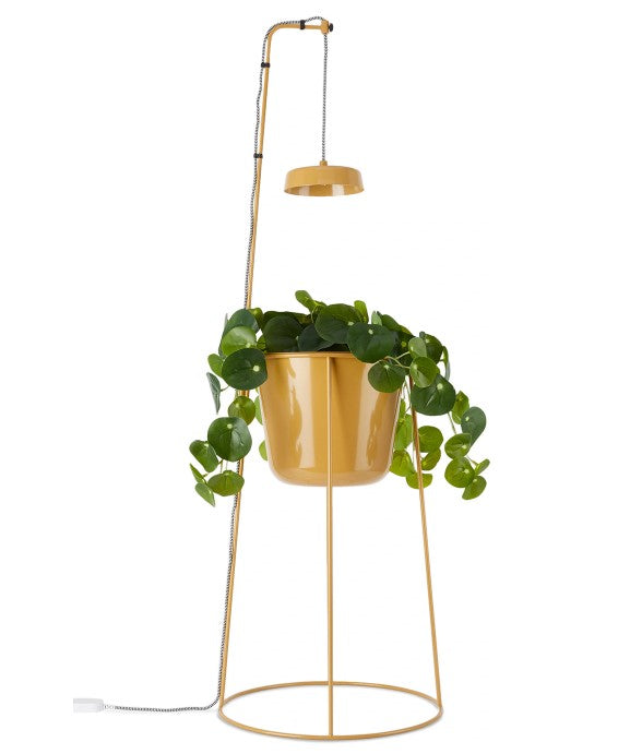Modern Sprout Uplift Planter