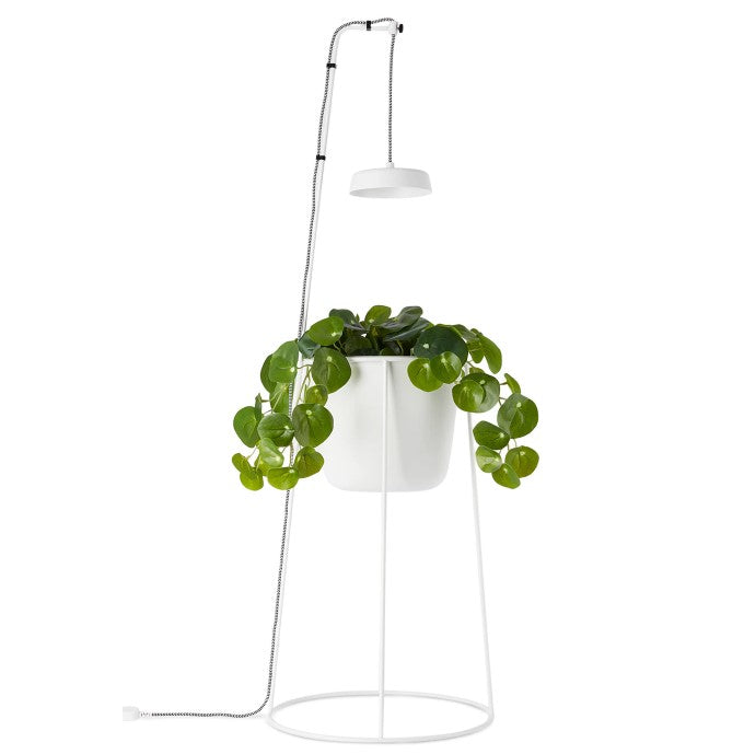 Modern Sprout Uplift Planter
