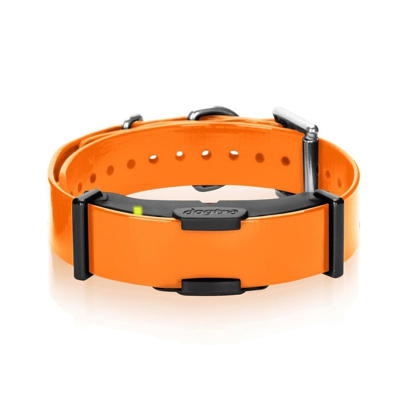 Dogtra ARC Additional Receiver Collar Orange Pets Dogtra