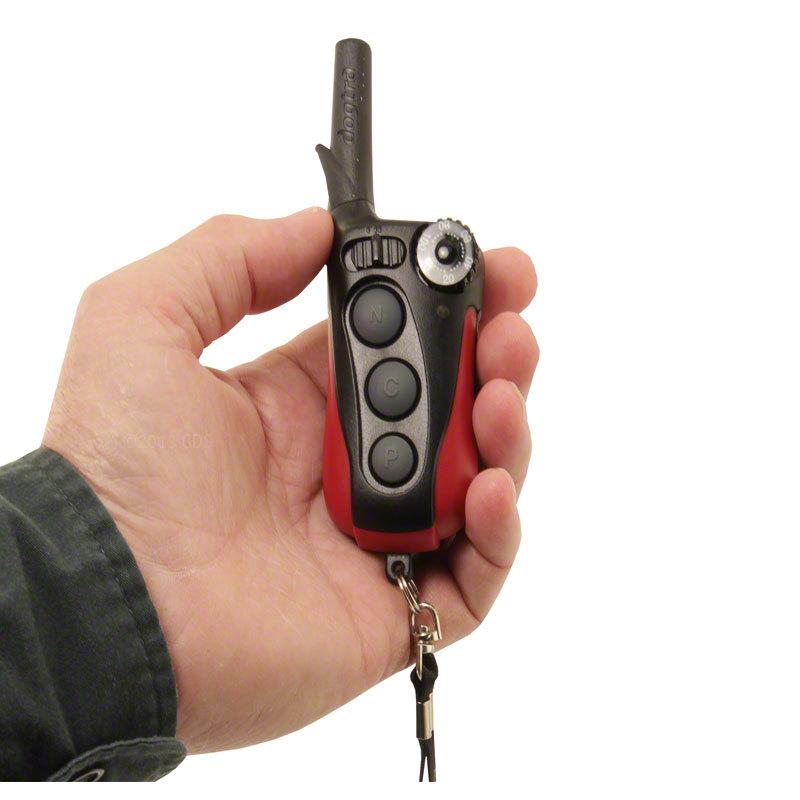 Dogtra remote sales