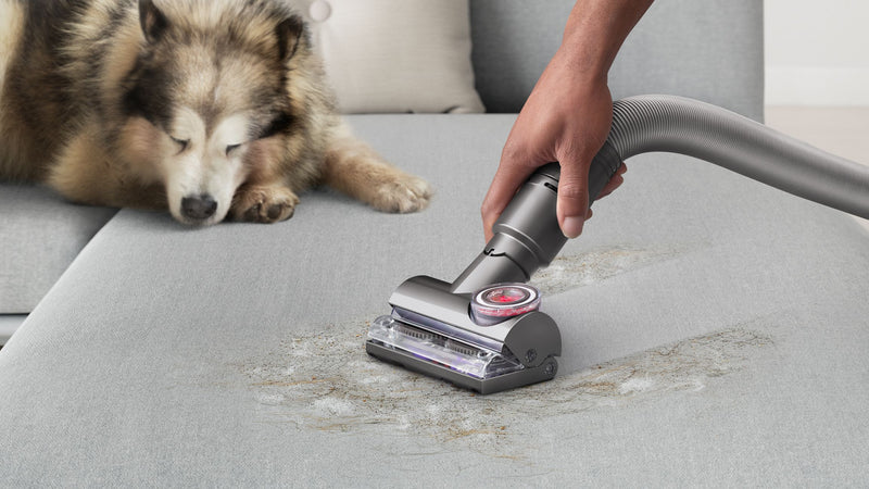 Aspiradora desenredante Dyson Ball Animal 3 para hogares con mascotas