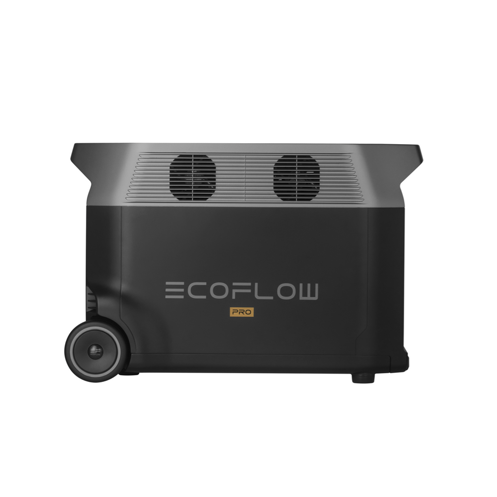 EcoFlow DELTA 2 Portable Power Station, Wellbots