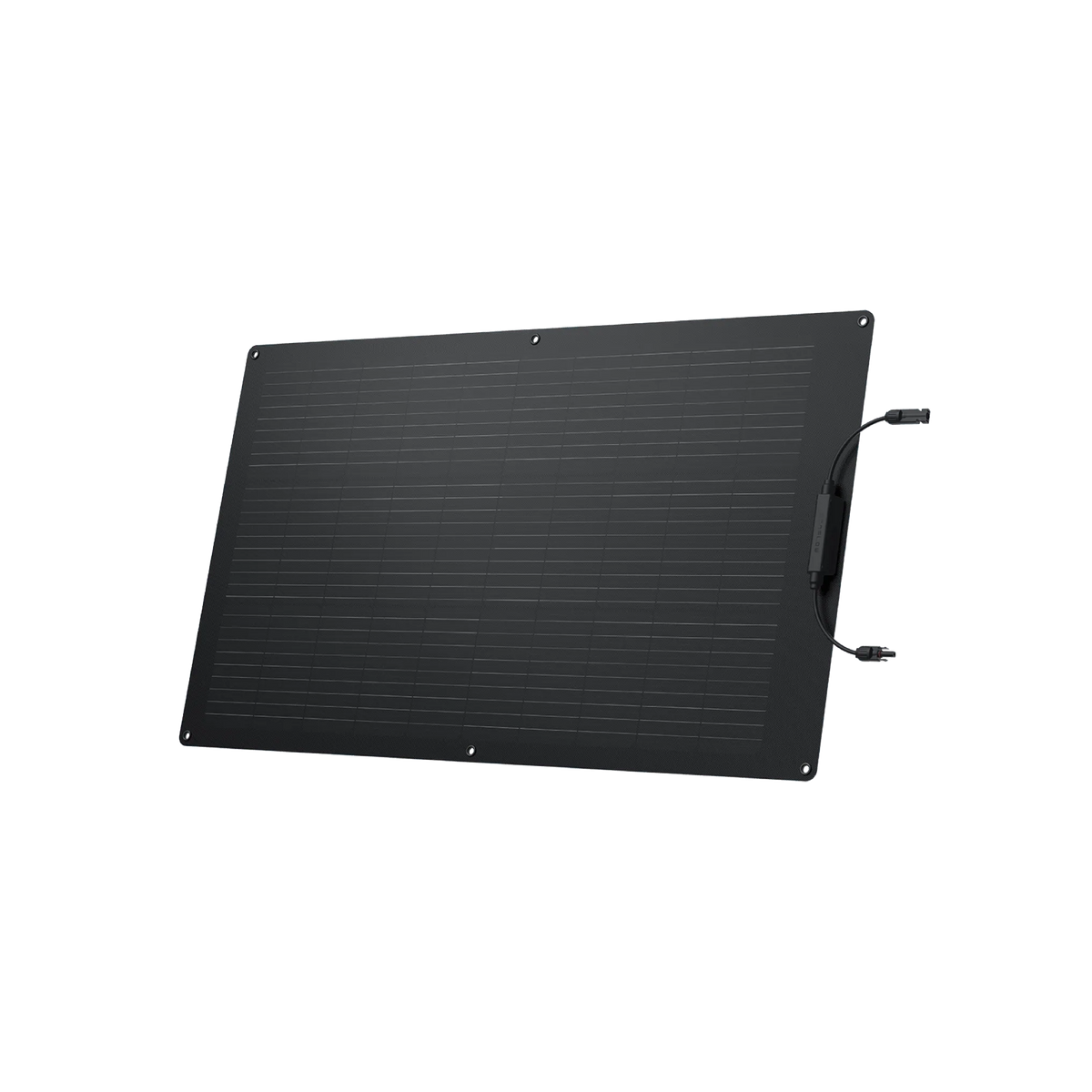 EcoFlow 100w Flexible Solar Panel | Free Shipping | Wellbots