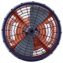 Nautica SKIPPER Patinete marino para niños