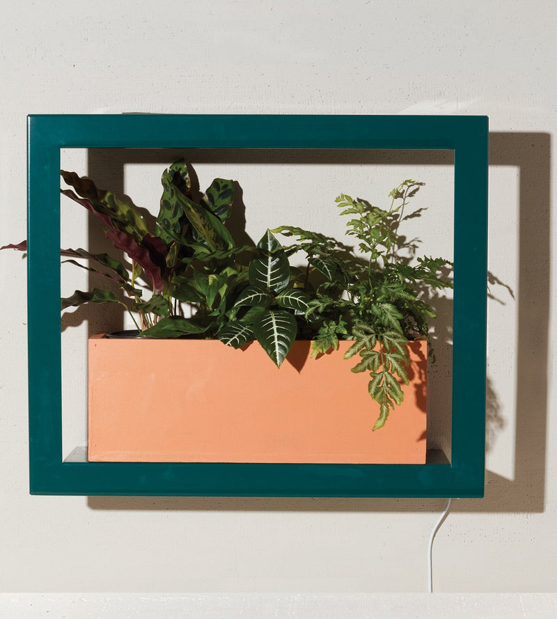 Modern Sprout Smart Standard Growframe - Emerald