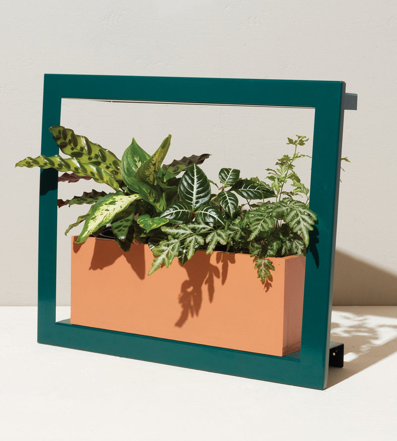 Modern Sprout Smart Standard Growframe - Emerald