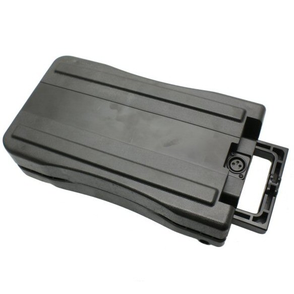 24V, 10Ah Rack Mount Battery Pack for Currie Electric Bikes (120-63)