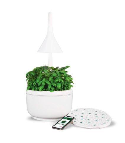 SproutsIO Smart Garden Smart Home SproutsIO