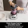 Ninja SS151 TWISTi, HIGH-SPEED Blender DUO, Built-in Twist Tamper, Hybrid-Edge Blades Assembly, 5 Present Auto-iQ Programs, Gray