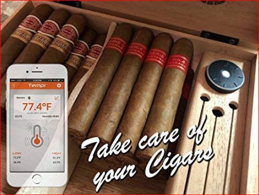 Tempi Smart Temperature & Humidity Monitor Health & Home Tahmo