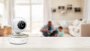 Motorola VM50G 5" Motorized Pan/Tilt Video Baby Monitor
