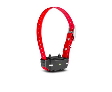 Garmin PT10 Dog Device Collar for Garmin PRO 70/550 and Sport PRO Systems Pet products Garmin
