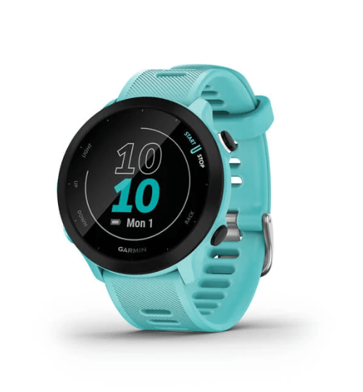 Garmin Forerunner 55 Smartwatch