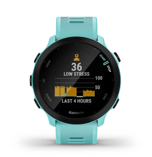 Garmin Forerunner 55 Smartwatch